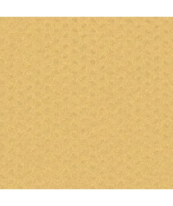 TOVAGLIA TESSUTO NON TESSUTO TNT CHAMPAGNE 100X100 PZ 200