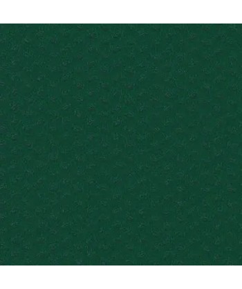 TOVAGLIA TESSUTO NON TESSUTO TNT VERDE BOSCO 100X100 PZ 200