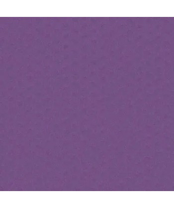 TOVAGLIA TESSUTO NON TESSUTO TNT PRUGNA 100X100 PZ 200